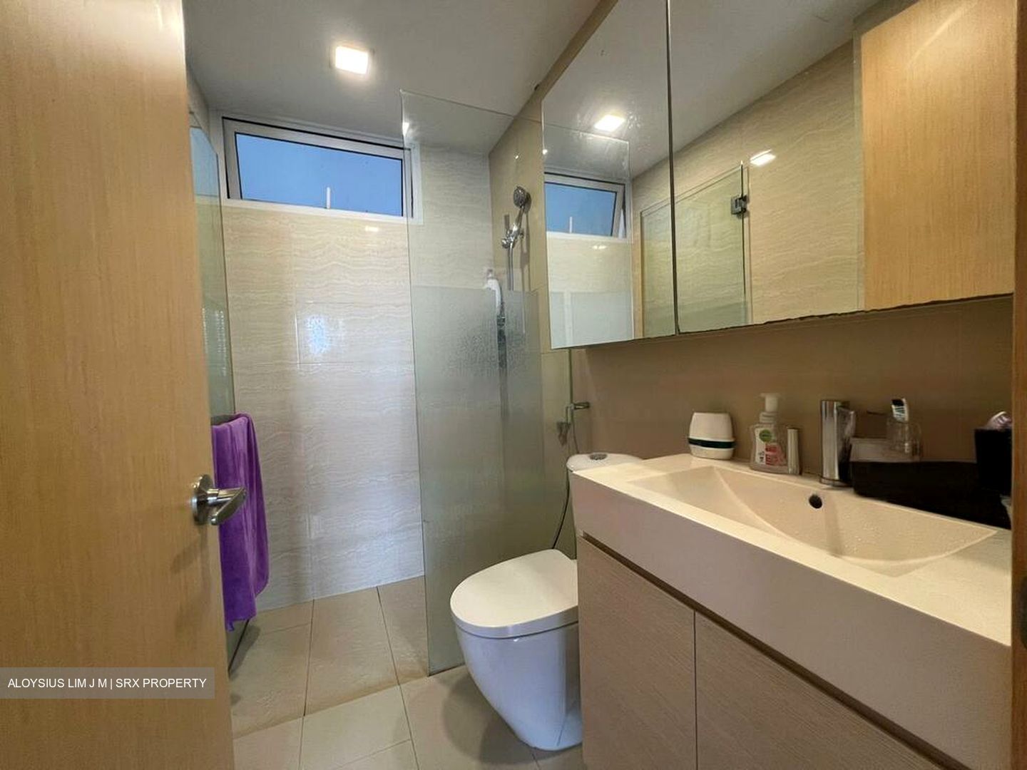 Waterview (D18), Condominium #455969511